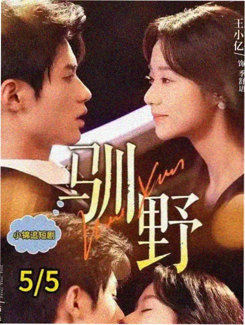 无名之辈2026 都市悬疑剧 最新更新剧集